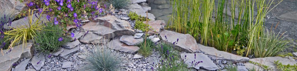 Natural Selection Slate Range